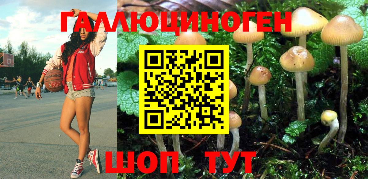Псилоцибиновые грибы Psilocybe Когалым